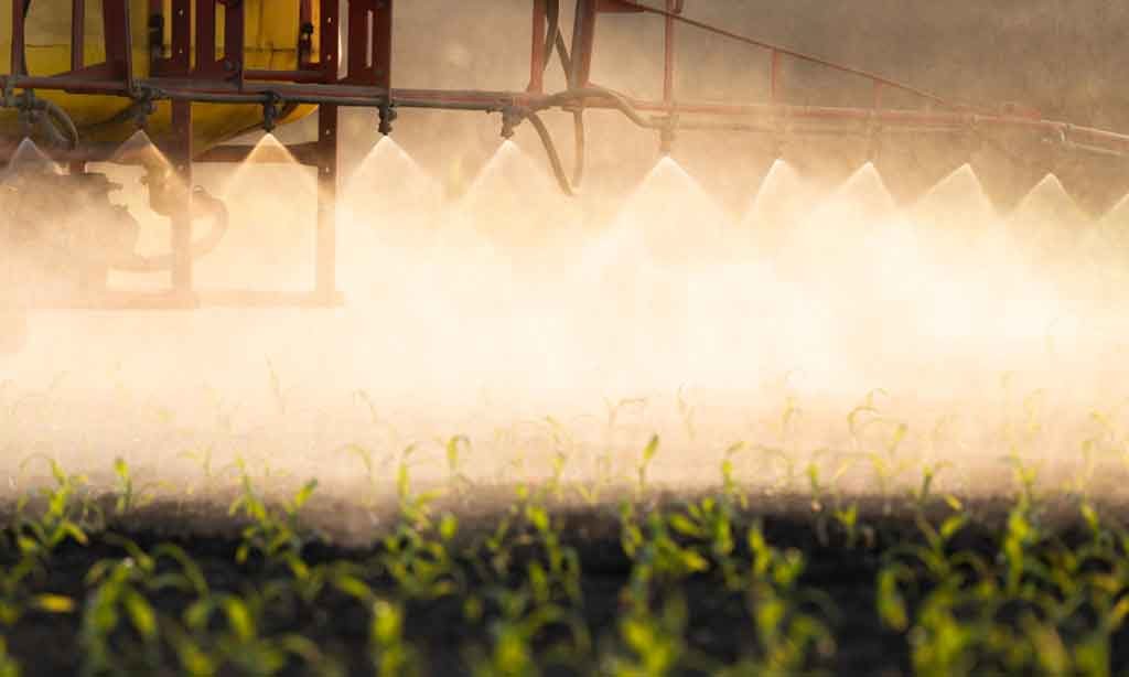 pesticides sprayed on produce is neurotoxic